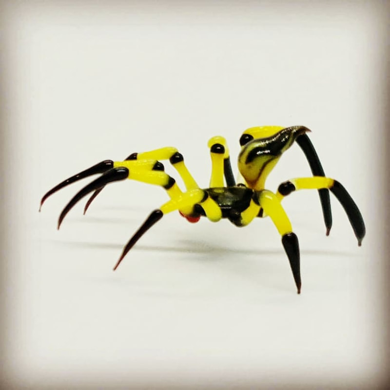 Glass spider miniature yellow and black