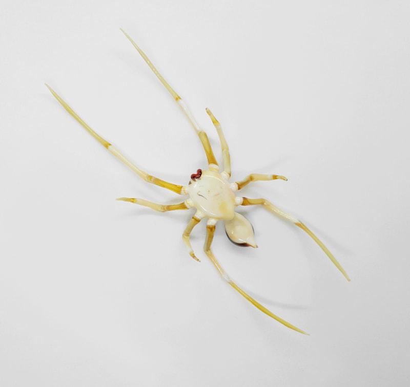 Large glass spider